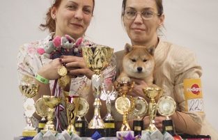 8.02.2020 Москва
