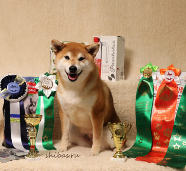 Мира — чемпион!